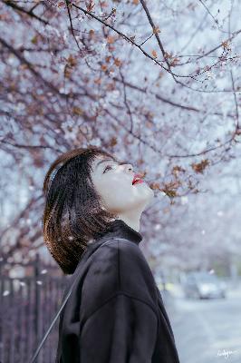 大地资源网惊爆！免费播放视频更新啦！大地资源二在线观看官网究竟在哪？