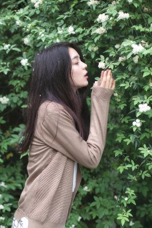 欧美MV、日韩MV、国产MV大全！100部免费高清视频？你真的了解吗？